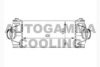 AUTOGAMMA 104496 Intercooler, charger